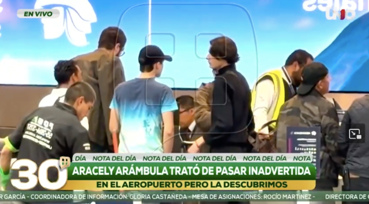 Hijos Luis Miguel y Aracely Arámbula