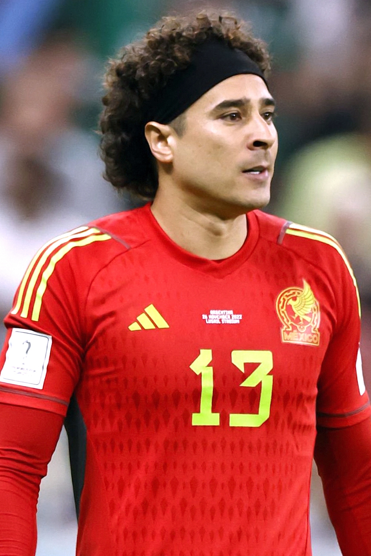 Guillermo Ochoa, Selección Mexicana convocados,