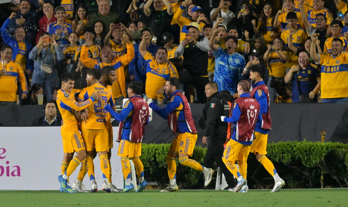 Tigres ruge en casa