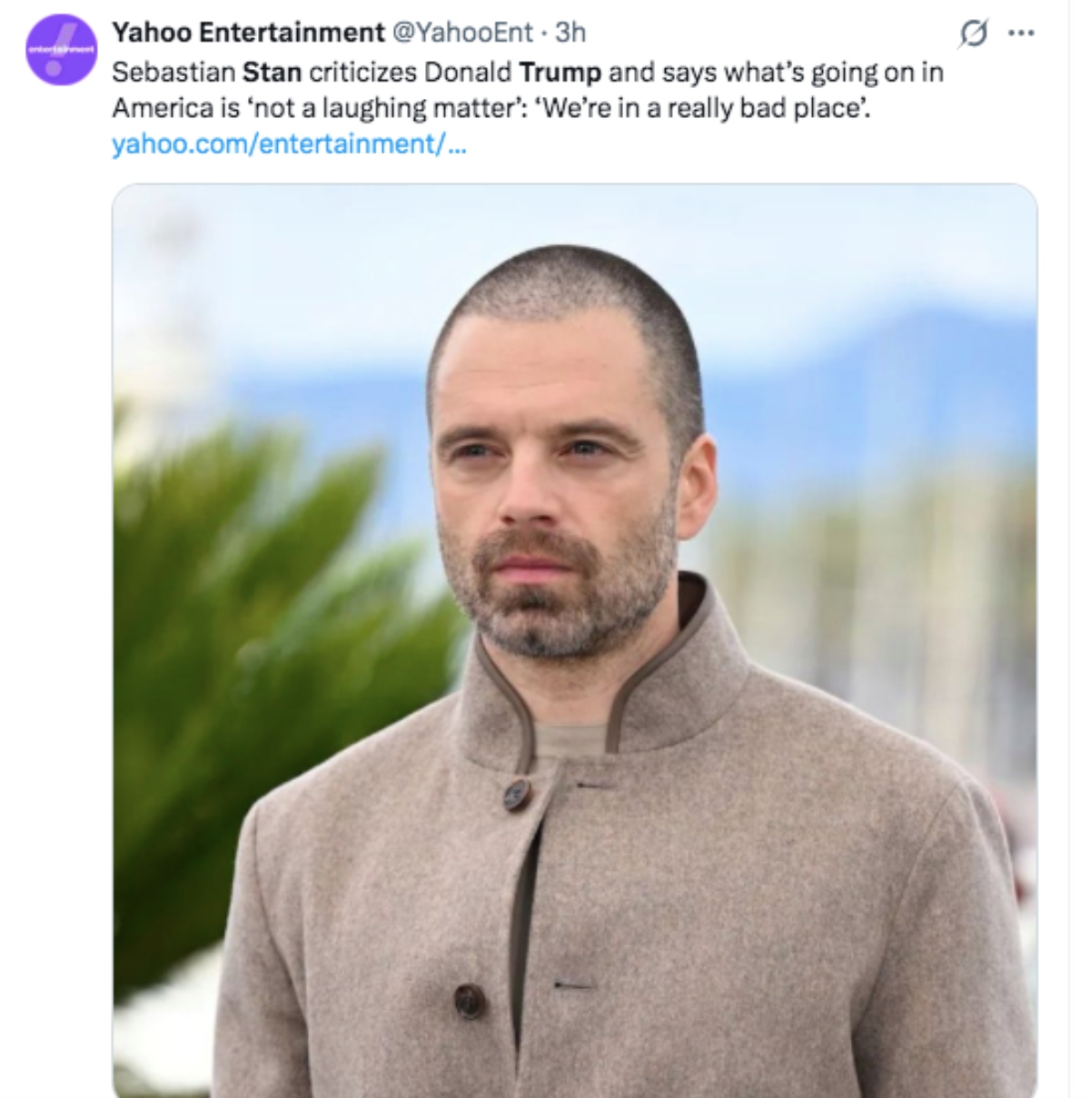 Sebastian Stan arremete contra Trump por situación en EEUU