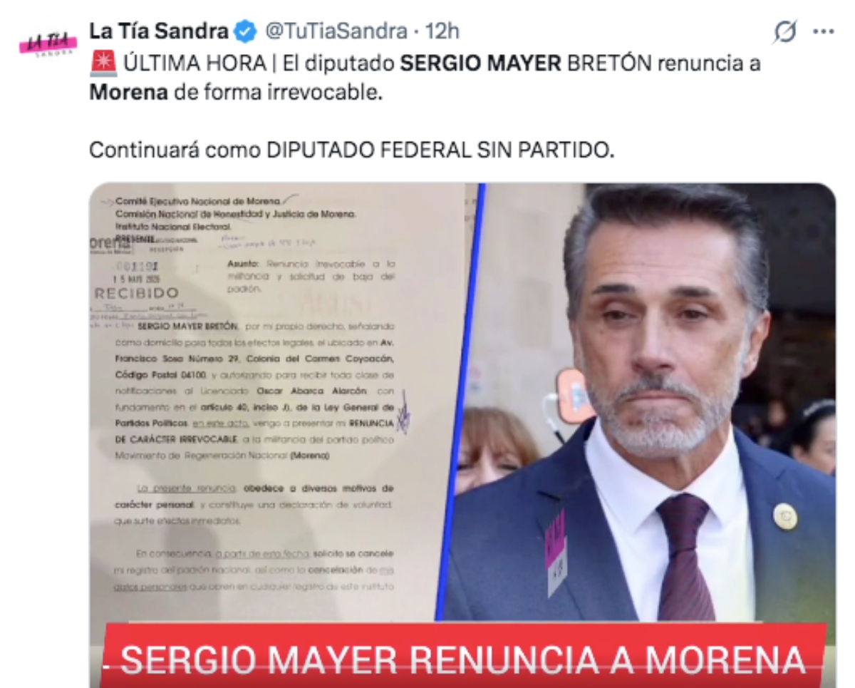 Sergio Mayer renuncia a la militancia del partido Morena