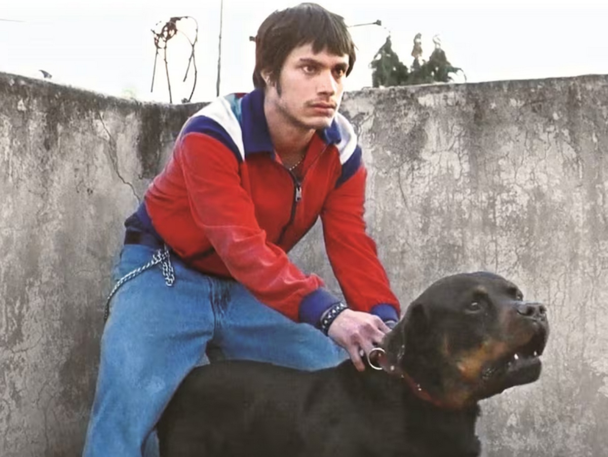 'Amores Perros' ahora se convertirá en una serie de televisión