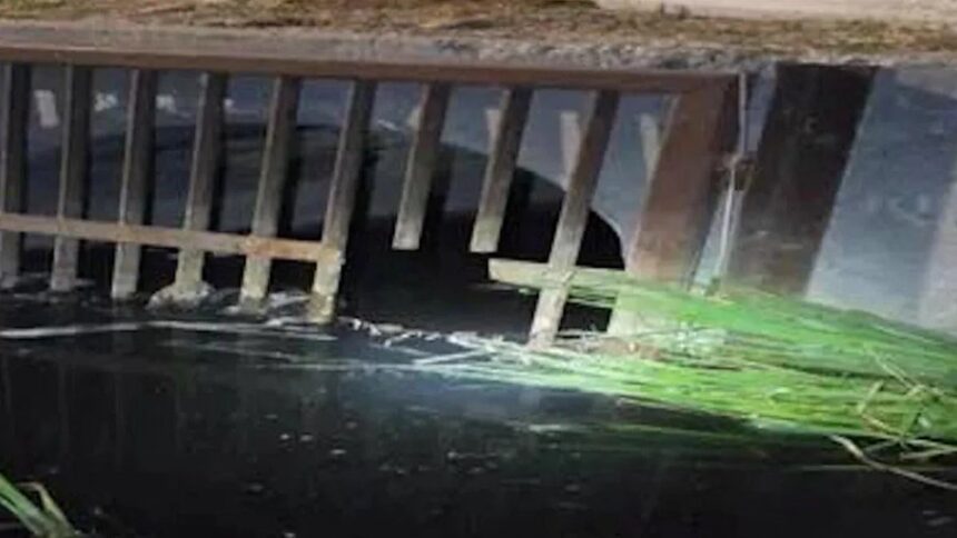 migrants tunnels drainage California, undocumented, tunnel migrants, California, QuéOnnda