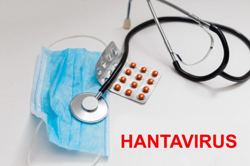 Hantavirus vs Covid, Hantavirus, Covid, pandemic, QuéOnnda