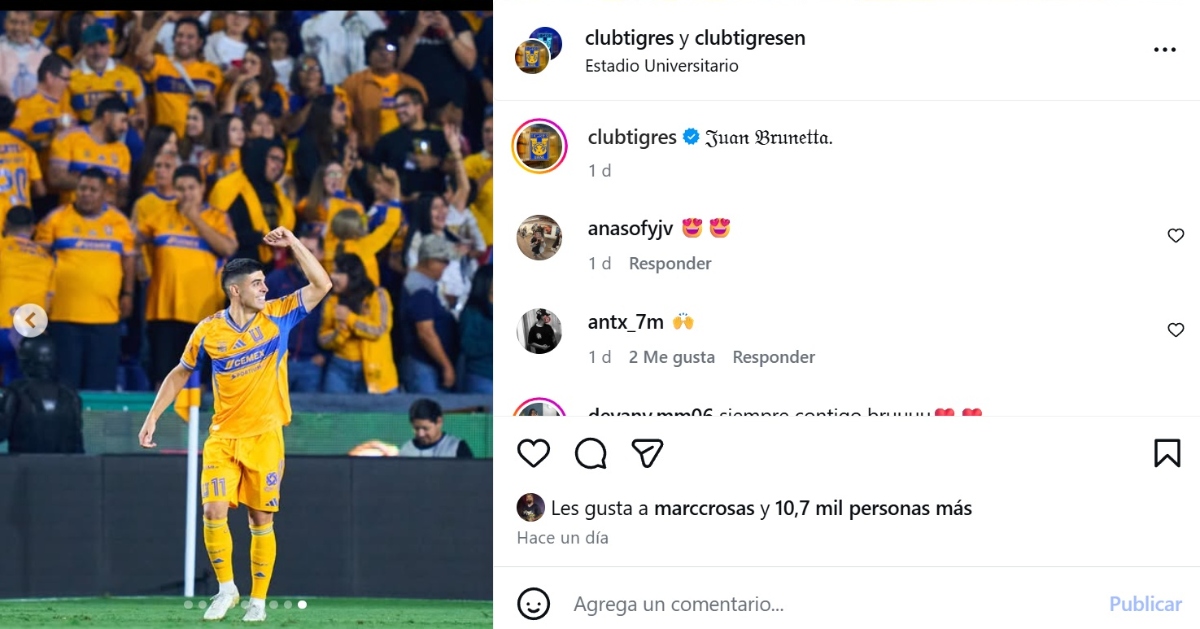 Tigres Nashville