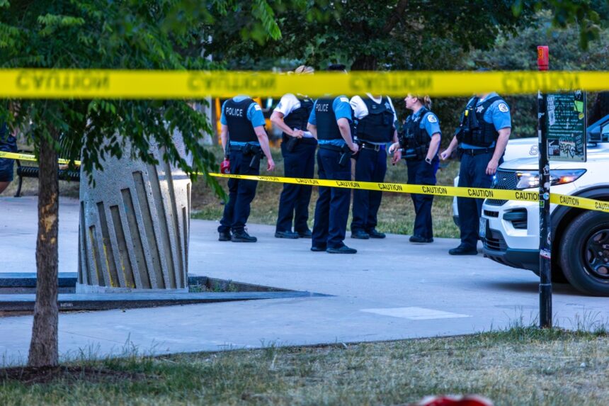 Violent Weekend in Chicago, Chicago, Princeton Park, Nueva Onda