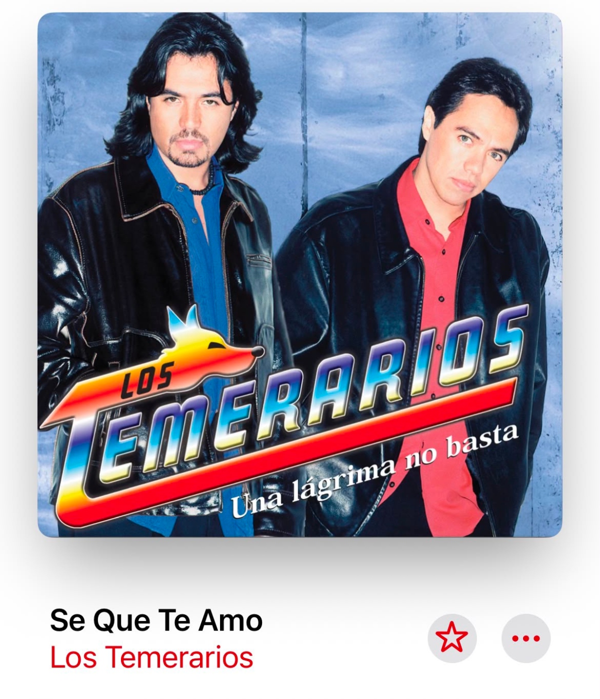 Adolfo Ángel Los Temerarios canción Mariana Seoane