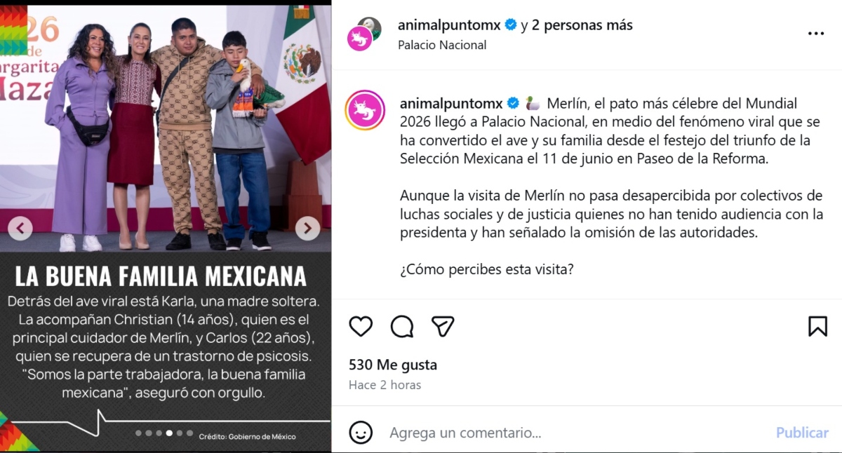 pato Merlín no podrá entrar