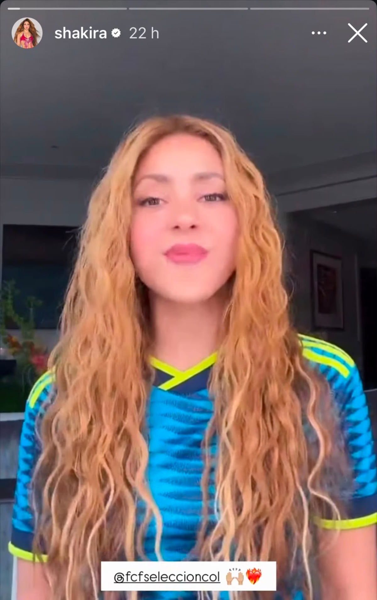 Shakira manda mensaje consolando a la selección de Colombia