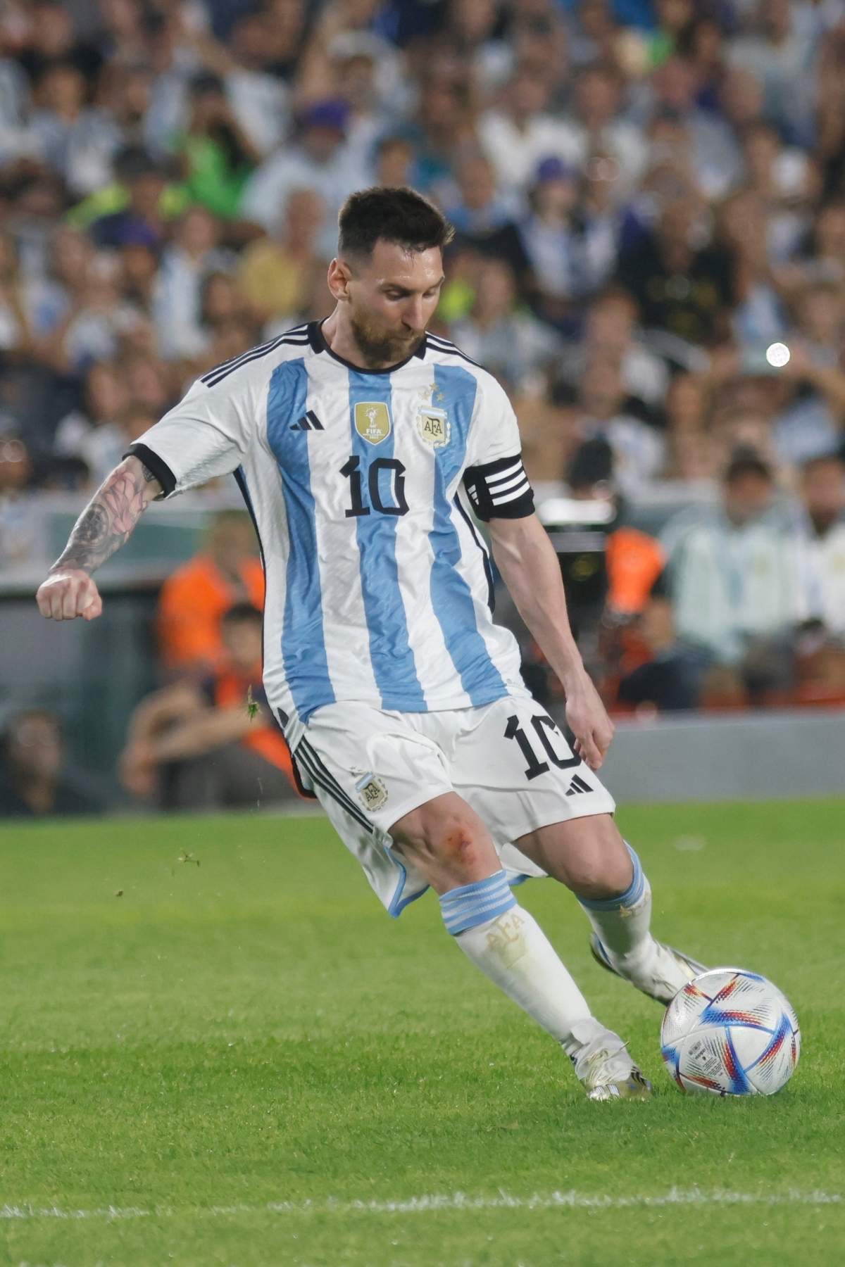 Argentina, Mundial