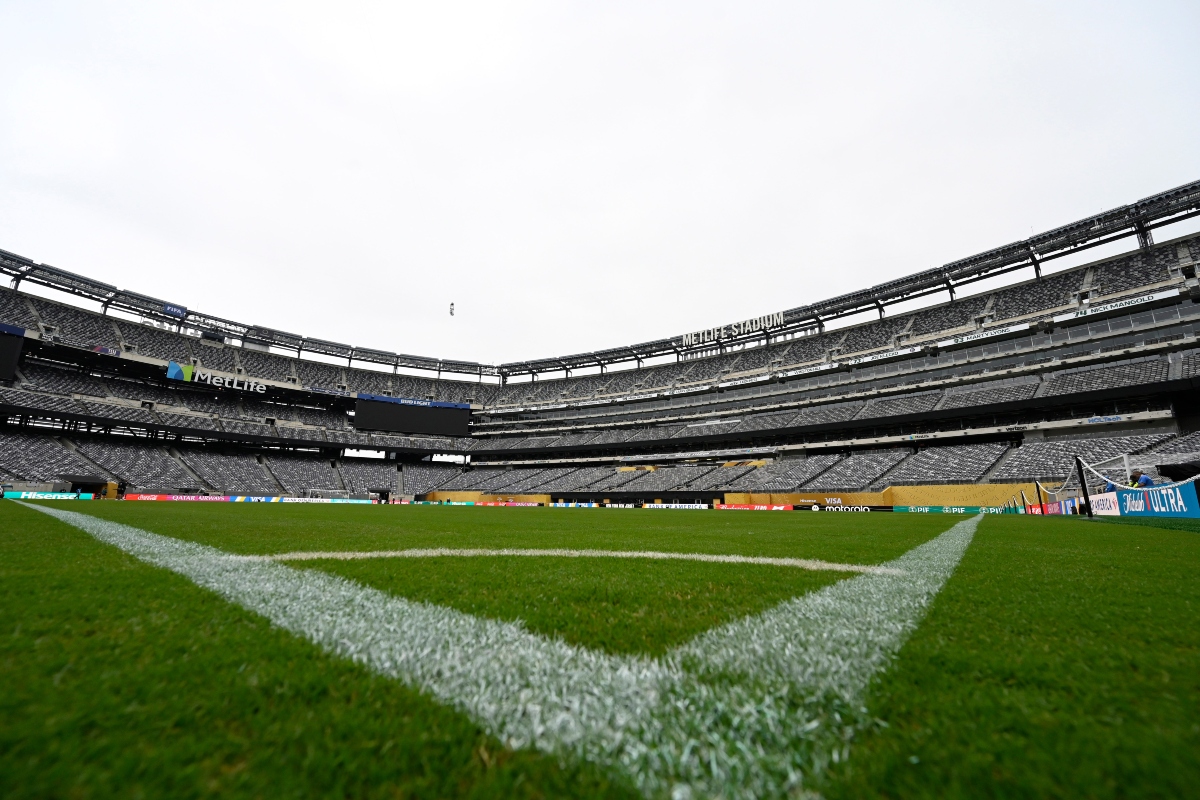 MetLife Stadium: NFL Faces Pressure Over Natural Turf